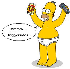 Homer Simpson's beer belly is made from triglycerides