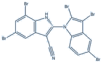 AETX structure