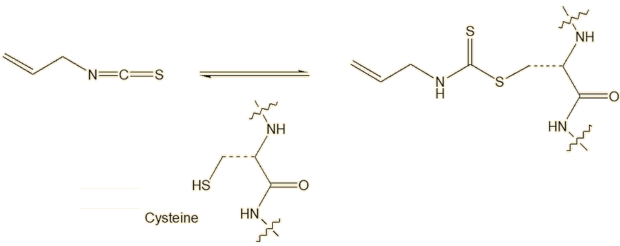 channel-binding