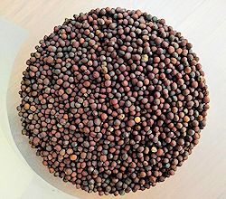 Black mustard seeds