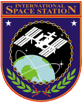 Description: Description: A silhouette of the ISS shown orbiting above the Earth. This image is suspended within an orange and purple shield, with the words 'International Space Station' above the image, and laurel leaves beneath.