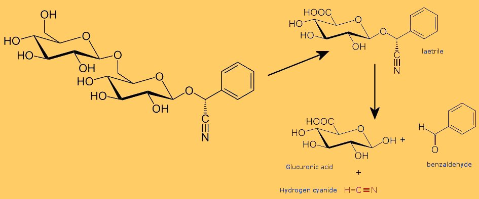 Hydrolysis reactions of amygdalin