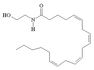 Anandamide - click for 3D structure