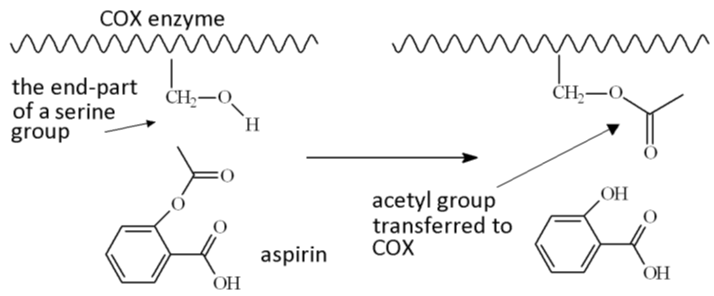 How aspirin works