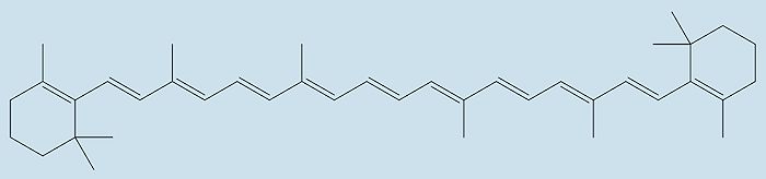 Structure of beta-carotene