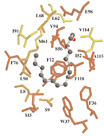 Binding of bombykol