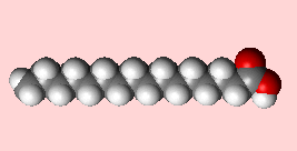 Spacefill of hexadecanoic acid