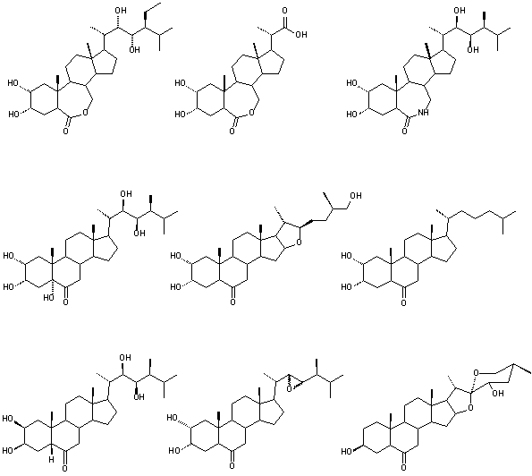 Analogue structures