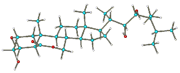 Structure of brassinolide