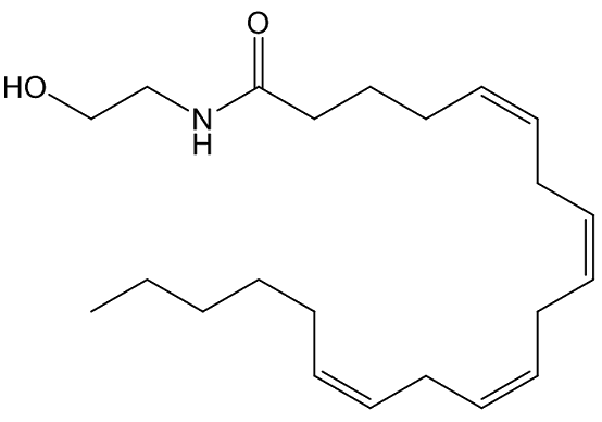 anandamide