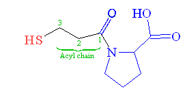 N-succinyl-L-proline sulfide