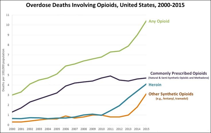 Opioid overdose deaths in the USA 2015