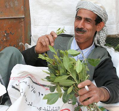 Man eating khat