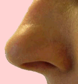 A nose