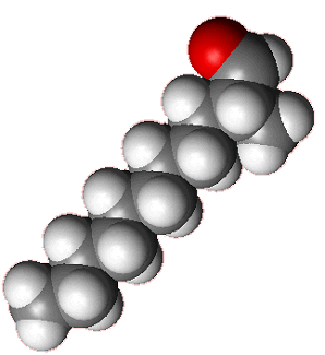 Spacefill structure of 2-methylundecanal - click for 3D VRML structure