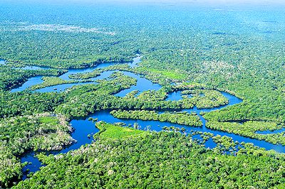 Aerial view of the Amazon rainforest