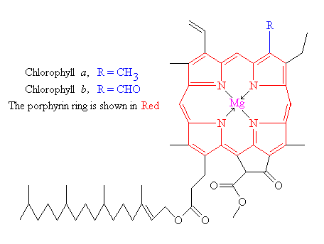 QUANTUM THEORY OF ELECTRON TRANSPORT THROUGH PHOTO-SYTHETIC PORPHYRINS