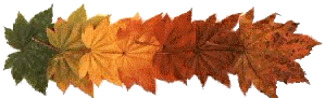 Coloured leaves