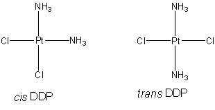 graphic of cis- and trans-DDP