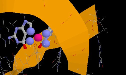 graphic of cisplatin bound to DNA