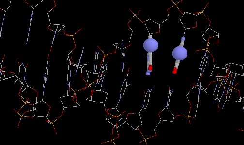 graphic of DNA highlighting possible binding site for cisplatin