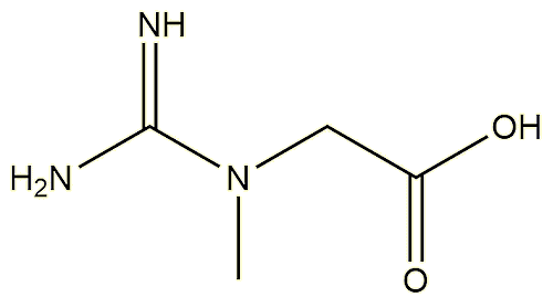 Structure of creatine