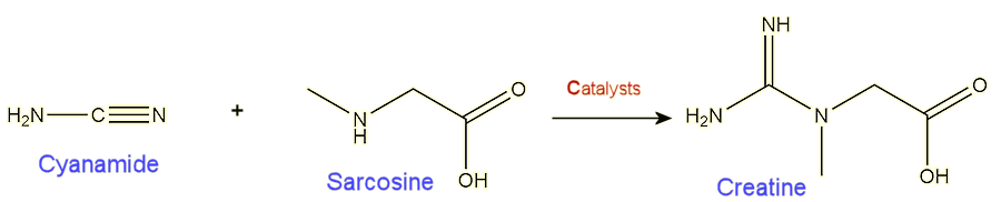 Lab synthesis of creatine