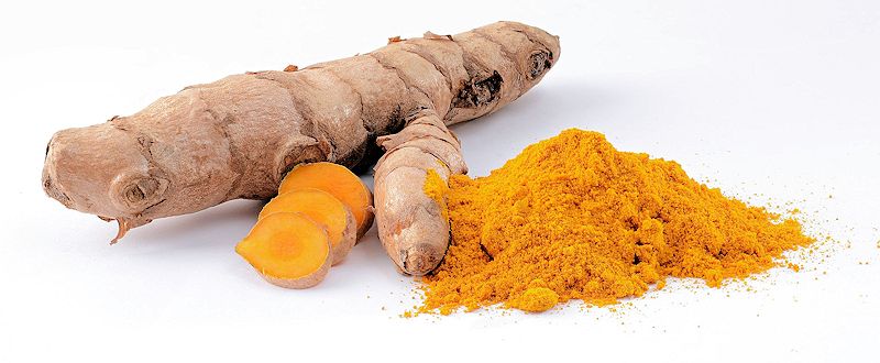 The turmeric rhizome and its orange powder spice