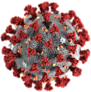 COVID-19 virus