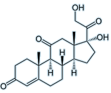 Cortisone