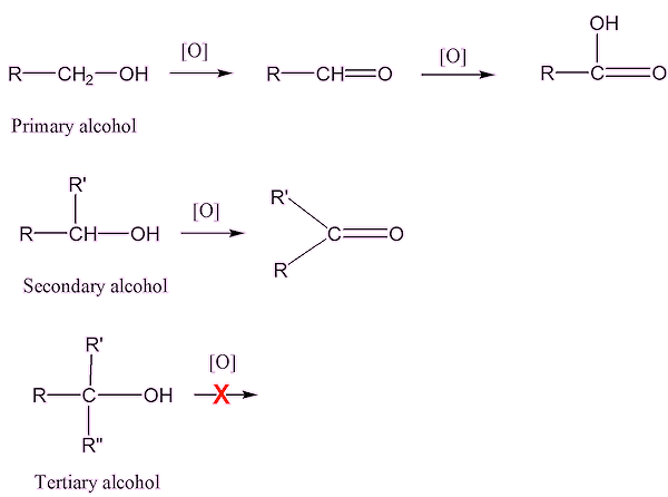 Different types of alcohol