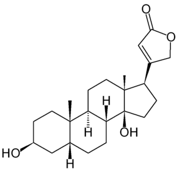 digitoxygenin