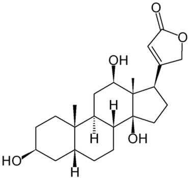 digoxygenin