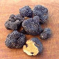 Some truffles.  Image from: http://hjem.get2net.dk/bojensen/EssentialOilsEng/EssentialOils30/EssentialOils30.htm