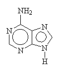 Adenine