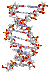 Click for 3D structure file