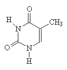 Thymine