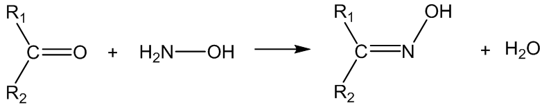 Oxime Synthesis