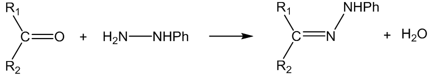Phenylhydrazone Synthesis