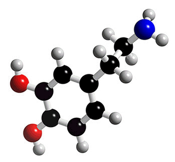 Dopamne, image taken from: http://wt2.cherokee.k12.ga.us/john.murnan/default.htm