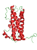 Prolactin, image taken from: http://en.wikipedia.org/wiki/Prolactin