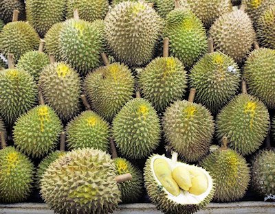 Durians