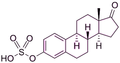 Estrone sulfate