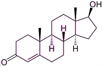 Testosterone