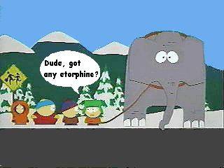 Elephant on South Park