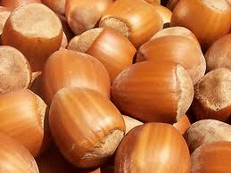 hazelnuts