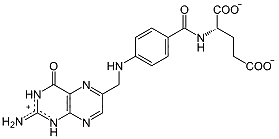 the folate ion