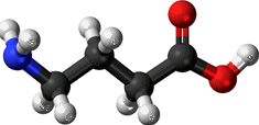 GABA receptor