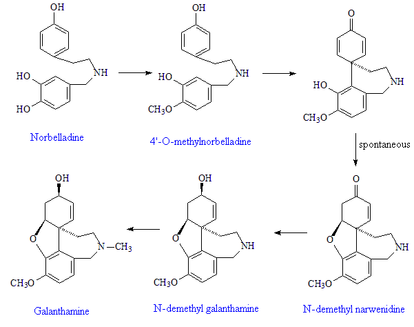 Synthesis