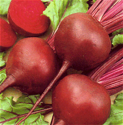 Beetroot